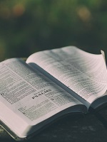 Bible Open to Psalms